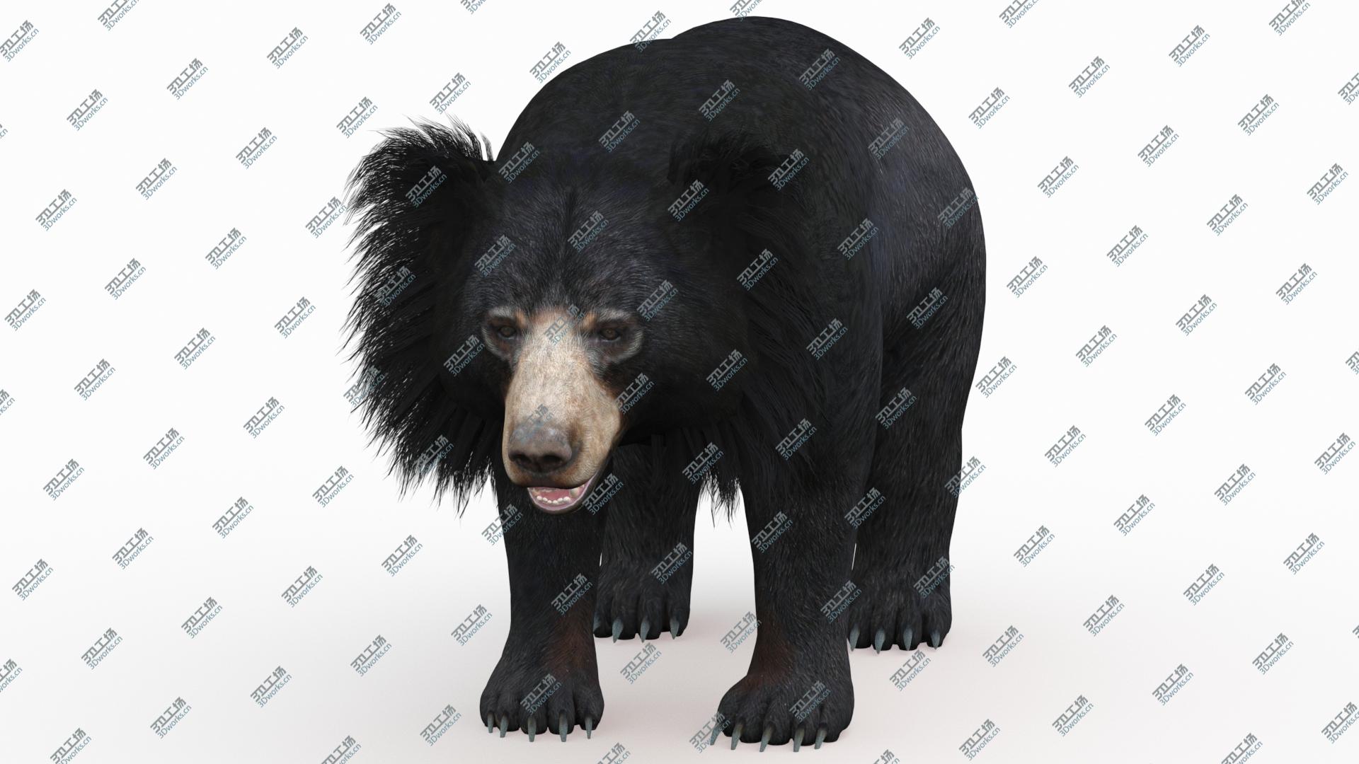 images/goods_img/2021040163/Sloth Bear 3D model/1.jpg